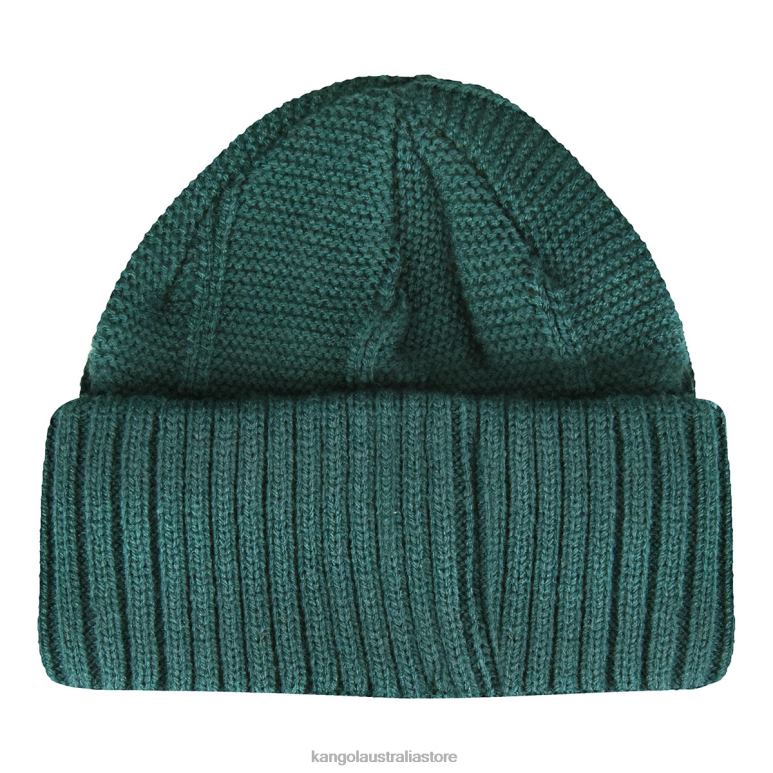 Unisex Accessories Pine Kangol Hidden Label Pull-On V0X8T816